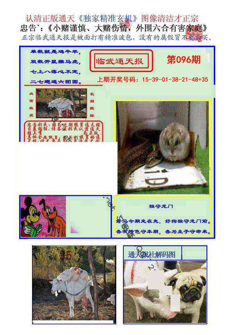 096期临武通天报[图]